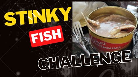 worlds smelliest fish in a can|SURSTRÖMMING STINKY FISH CHALLENGE